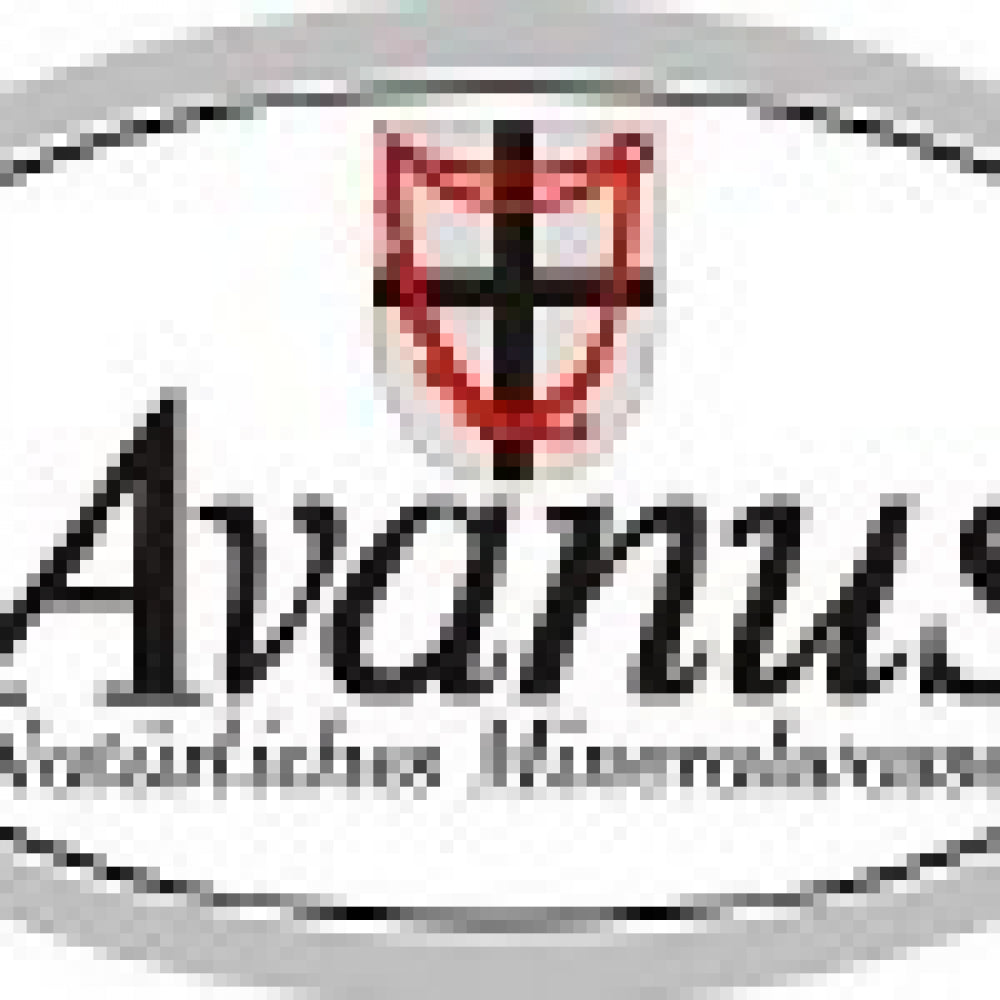 Kasten Avanus Still 20 x 0,5L MW